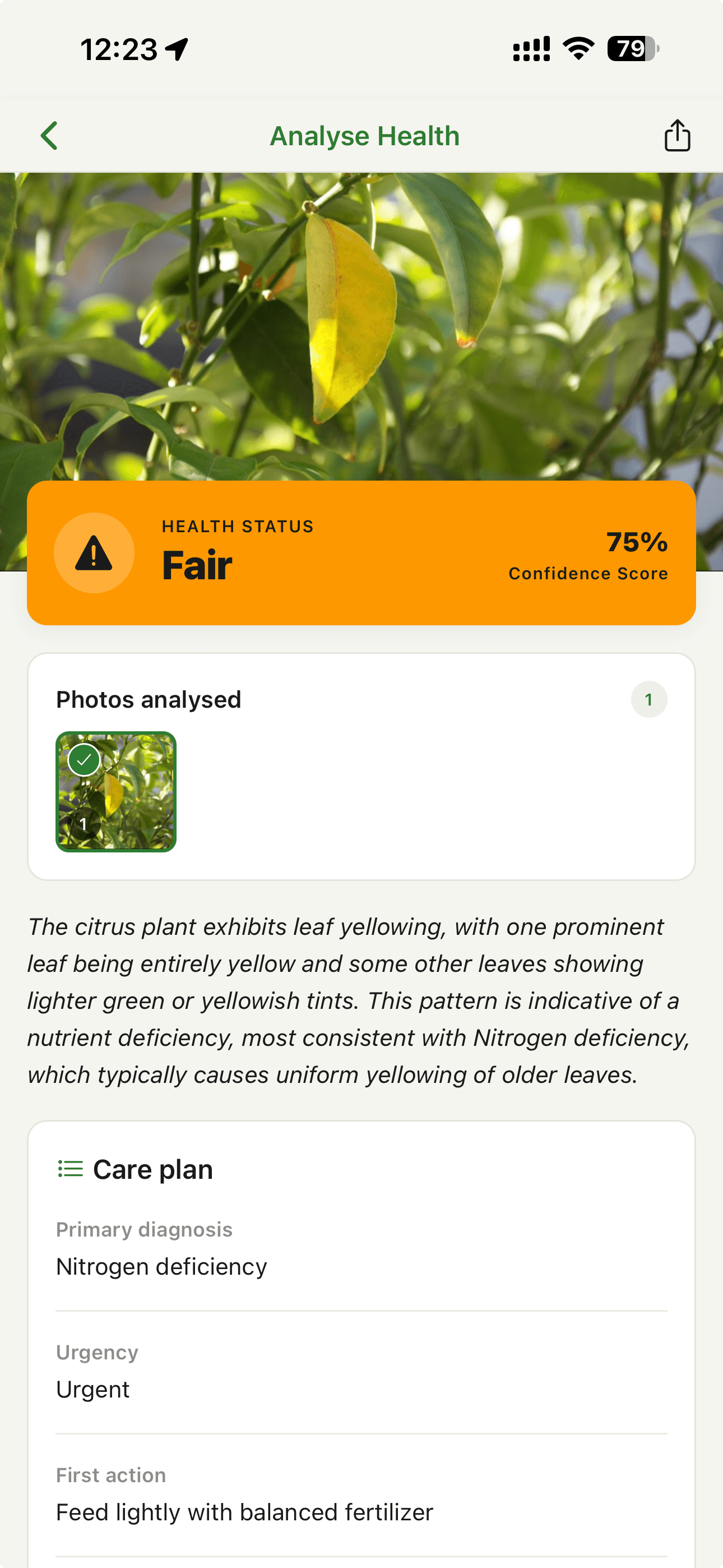 PlantPeepal — AI health analysis screen